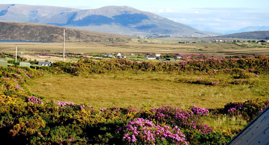 Achill Lodge Guest House Bunacurry ภายนอก รูปภาพ